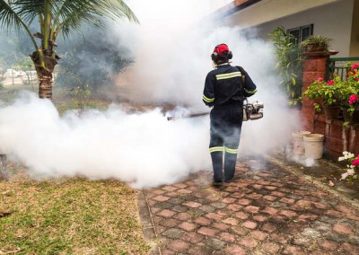 higitec-saiba-quais-sao-as-principais-pragas-que-aparecem-no-calor