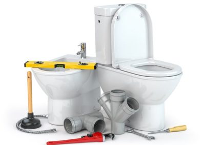 Plumbing repair service. Bowl and bidet with plumbing tools for