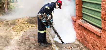 Controle de Cupim de Concreto